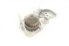 Помпа воды Renault Kangoo/Megane/Clio 1.4/1.4i/1.4e 96- (B/B) (8 лоп) BUGATTI PA7715 (фото 9)