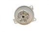 Помпа води Audi 100/A6/VW Crafter/LT/T4/Volvo 940/V70 2.4D/TD/2.5/2.5TDI/SDI 90-13 (7лоп)(R/B) BUGATTI PA8713 (фото 11)