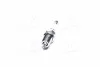 Свеча зажигания MULTI GROUND CHEVROLET EPICA, OPEL ASTRA (4-х мес. уп.) (выр-во) CHAMPION OE019/R04 (фото 4)