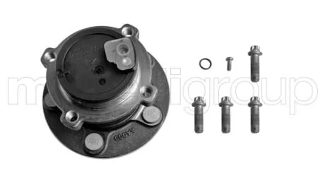 Підшипник маточини задн. Ford C-Max/Focus II 03-12 CIFAM 619-2922