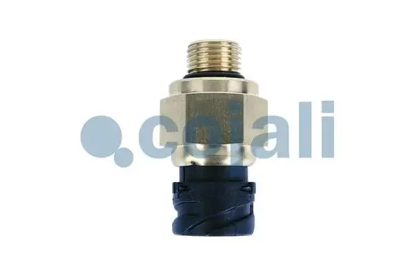 Датчик, пневматична установка COJALI 2260754 (фото 1)