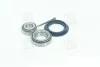 Підшипник маточини DAEWOO LANOS задн. міст (Вир-во COMPLEX) COMPLEX AUTOMOTIVE BEARINGS Sp.z.o.o. CX008 (фото 1)