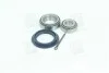 Підшипник маточини DAEWOO LANOS задн. міст (Вир-во COMPLEX) COMPLEX AUTOMOTIVE BEARINGS Sp.z.o.o. CX008 (фото 3)
