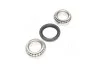 Подшипник ступицы FORD задн. мост (Выр-во COMPLEX) COMPLEX AUTOMOTIVE BEARINGS Sp.z.o.o. CX041 (фото 2)