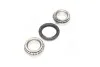 Подшипник ступицы FORD задн. мост (Выр-во COMPLEX) COMPLEX AUTOMOTIVE BEARINGS Sp.z.o.o. CX041 (фото 4)