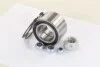Подшипник ступицы AUDI, VW POLO передн. мост (Выр-во COMPLEX) COMPLEX AUTOMOTIVE BEARINGS Sp.z.o.o. CX055 (фото 1)