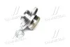 Подшипник ступицы SKODA FABIA задн. мост (Выр-во COMPLEX) COMPLEX AUTOMOTIVE BEARINGS Sp.z.o.o. CX515 (фото 2)