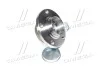 Подшипник ступицы SKODA FABIA задн. мост (Выр-во COMPLEX) COMPLEX AUTOMOTIVE BEARINGS Sp.z.o.o. CX515 (фото 4)