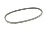 Ремінь генератора VW Caddy/Golf/Passat 1.6-2.0 91-99/Seat Ibiza/Toledo 1.6/2.0 93-02 Contitech 11,5X685Ld (фото 5)