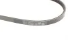 Ремінь генератора Hyundai Elantra/ Matrix 1.8 01-10/ Nissan Micra 1.0-1.4 02-10/ Note 1.4 06-12 Contitech 3PK670 (фото 3)