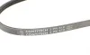 Ремінь генератора Hyundai Elantra/ Matrix 1.8 01-10/ Nissan Micra 1.0-1.4 02-10/ Note 1.4 06-12 Contitech 3PK670 (фото 4)