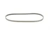 Ремень генератора Ford Focus IV/Galaxy III/Mondeo V/Transit 2.0D/2.0DH 15- Contitech 3PK725ELAST (фото 2)