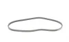 Ремень генератора Mazda 3/6/CX-3/CX-5 2.0 11- Contitech 3PK798 ELAST (фото 2)