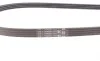 Ремінь генератора Citroen Jumper/Fiat Ducato/Peugeot Boxer 3.0HDi/D 06- Contitech 4PK1102 ELAST (фото 3)