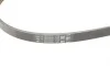 Ремінь генератора Audi A4/A6 2.5TDI 00-05/ Peugeot 205/305/309 1.9-2.5 TD 90-94 Contitech 4PK1217 (фото 3)