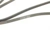 Ремінь генератора поліклиновий CONTINENTAL Contitech 4PK1775 (фото 5)