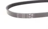 Ремень генератора Hyundai Accent 1.3/1.5i/Getz 1.3i 94-05 Contitech 4PK611 (фото 3)