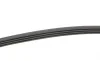 Пас поліклиновий Mazda 626/Mitsubishi Galant/Lance Contitech 4PK635 (фото 2)