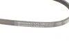Ремень генератора Citroen Jumper 1.9TD 94-02 (ALT) Contitech 4PK698 (фото 4)