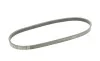 Пас поліклиновий Smart Fortwo 1.0 07- Contitech 4PK753ELAST (фото 5)