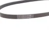 Ремень генератора BMW 3 (E36)/5 (E34/E39)/7 (E38) 2.5TD 91-04 Contitech 4PK780 (фото 3)