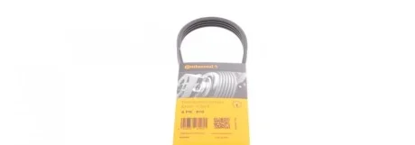 Ремінь генератора Nissan Almera/Primera/Sunny Contitech 4PK810