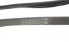 Ремень генератора BMW 3 (E90/E93) 3.0 d (M57/N57) 05-13 (4PK811) Contitech 4PK811ELAST (фото 3)