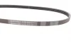 Ремінь генератора Nissan Primera 93-01/Peugeot 205/309 85-98/Hyundai Accent 1.1-1.6 95-10 Contitech 4PK815 (фото 2)