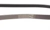 Ремень генератора BMW 1 (E87)/3 (E90) 04-11 Contitech 4PK830 ELAST (фото 2)