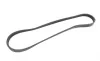 Ремень генератора BMW 5 (E60/E61) 4.0-4.8i (N62) 03-10 (4PK844) Contitech 4PK844 ELAST (фото 5)