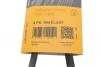 Ремень генератора BMW 5 (E60/E61) 4.0-4.8i (N62) 03-10 (4PK844) Contitech 4PK844 ELAST (фото 6)