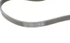 Ремень генератора Skoda SuperB 01-08/VW Passat B5/Hyundai Accent 95-05/Tucson/Kia Sportage/Ceed 04- Contitech 4PK855 (фото 3)