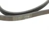 Ремінь генератора BMW 3 (E46/E90)/5 (E60)/6 (E63)/X3 (E83)/X5 (E53) 03-11 Contitech 4PK860 ELAST (фото 3)