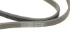 Ремінь генератора BMW 5 (E60)/X3 (E83/)X5 (E70)/X6 (E71/E72) 04-13 Contitech 4PK867 ELAST (фото 4)