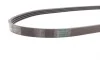 Ремінь генератора Mazda 323 1.3-1.8 89-04/BMW 3 (E46)/7 (E65/E66/E67) 3.0d 02-05/Kia Rio 1.5 00-05 Contitech 4PK885 (фото 2)