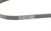 Ремінь генератора Hyundai Tucson/i30/Kia Sportage/Carens/Ceed/Suzuki Grand Vitara 04-/Audi/BMW/Mazda Contitech 4PK890 (фото 4)