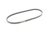 Ремень генератора Honda CR-V 2.0 16V 4WD 95-02/Subaru Forester/Impreza/Legacy 1.5-2.5 92-09 Contitech 4PK895 (фото 5)
