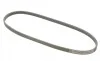 Ремінь генератора Peugeot Expert 1.6 96-00/Toyota Auris/Corolla 1.3 12-18 Contitech 4PK900 (фото 5)
