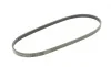 Ремень генератора Renault Kangoo/Clio 1.2i 97-/Fiat Scudo 1.6i 96-06/Nissan Kubistar 1.2 03- Contitech 4PK905 (фото 5)