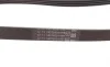 Ремень генератора BMW 3 (E46)/X3 (E83) 01-07/Fiat Stilo 1.6 16V 01-08 Contitech 4PK917 ELAST (фото 3)