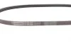 Ремень генератора Toyota Yaris 99-14/Corolla 92-95/Mazda Premacy 99-05/626 91-02/323 98-04 Contitech 4PK920 (фото 2)