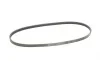 Ремень генератора Chevrolet/Fiat/Honda/Mazda/Mitsubishi/Nissan/Skoda/Subaru/Suzuki Contitech 4PK950 (фото 5)