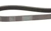 Пас поліклиновий Mitsubishi Pajero 3.0 V6 90-00/ C Contitech 4PK954 (фото 3)