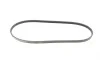 Ремень генератора Mitsubishi L200 2.0/2.4 4WD 96-07/L400 2.0 16V 95-00/Mazda 323 1.4-1.8 85-01 Contitech 4PK990 (фото 4)