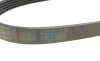 Пас поліклиновий Toyota Camry/ Celica/ Rav4 1.8-2. Contitech 5PK1000 (фото 3)