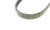Пас поліклиновий Toyota Camry/ Celica/ Rav4 1.8-2. Contitech 5PK1000 (фото 4)