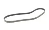 Пас поліклиновий Toyota Camry/ Celica/ Rav4 1.8-2. Contitech 5PK1000 (фото 5)