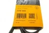 Пас поліклиновий Toyota Camry/ Celica/ Rav4 1.8-2. Contitech 5PK1000 (фото 6)