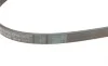 Пас поліклиновий Mazda 626 1.8-2.2 86-96/Opel Kade Contitech 5PK1010 (фото 3)