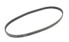 Пас поліклиновий Mazda 626 1.8-2.2 86-96/Opel Kade Contitech 5PK1010 (фото 5)